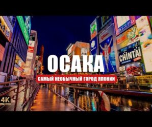 Осака — такого шумного и разнообразного города Японии вы еще не видели! 🏯 🇯🇵🤯