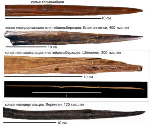 Неандертальцы жили в «деревянном» веке